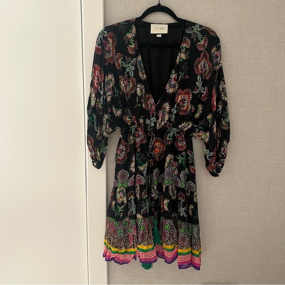 Alexis Holli Dress- Size S; Excellent Condition - Picture 1 of 14